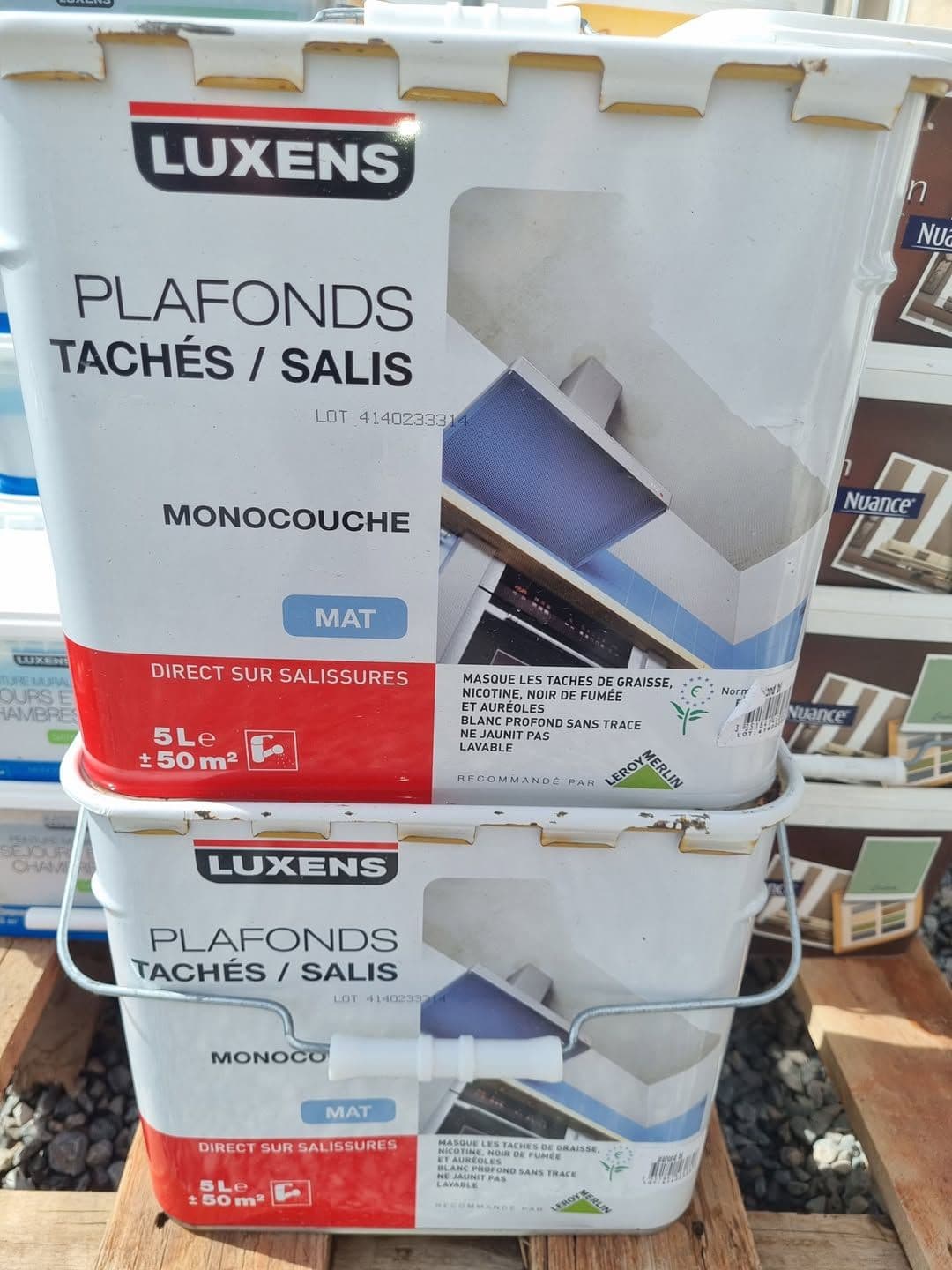 pot_peinture_plafond_luxens